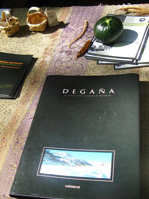 Libro de Degaña