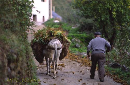 Cargando