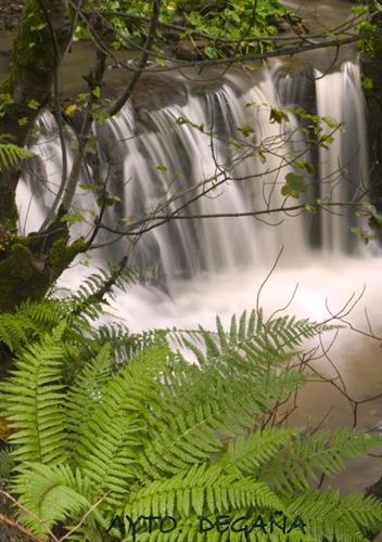 Cascada